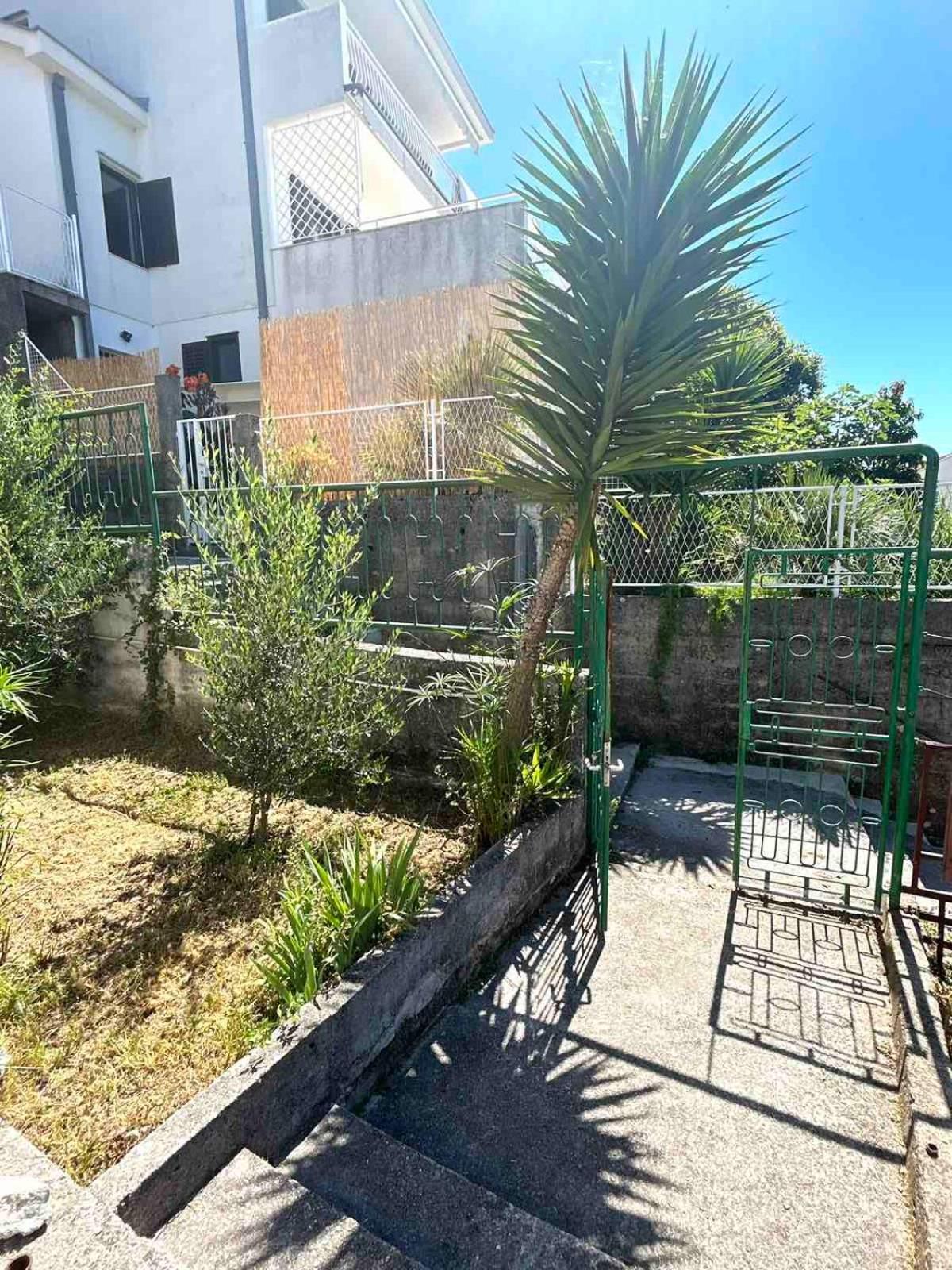 Apartments Maya Herceg Novi Zewnętrze zdjęcie