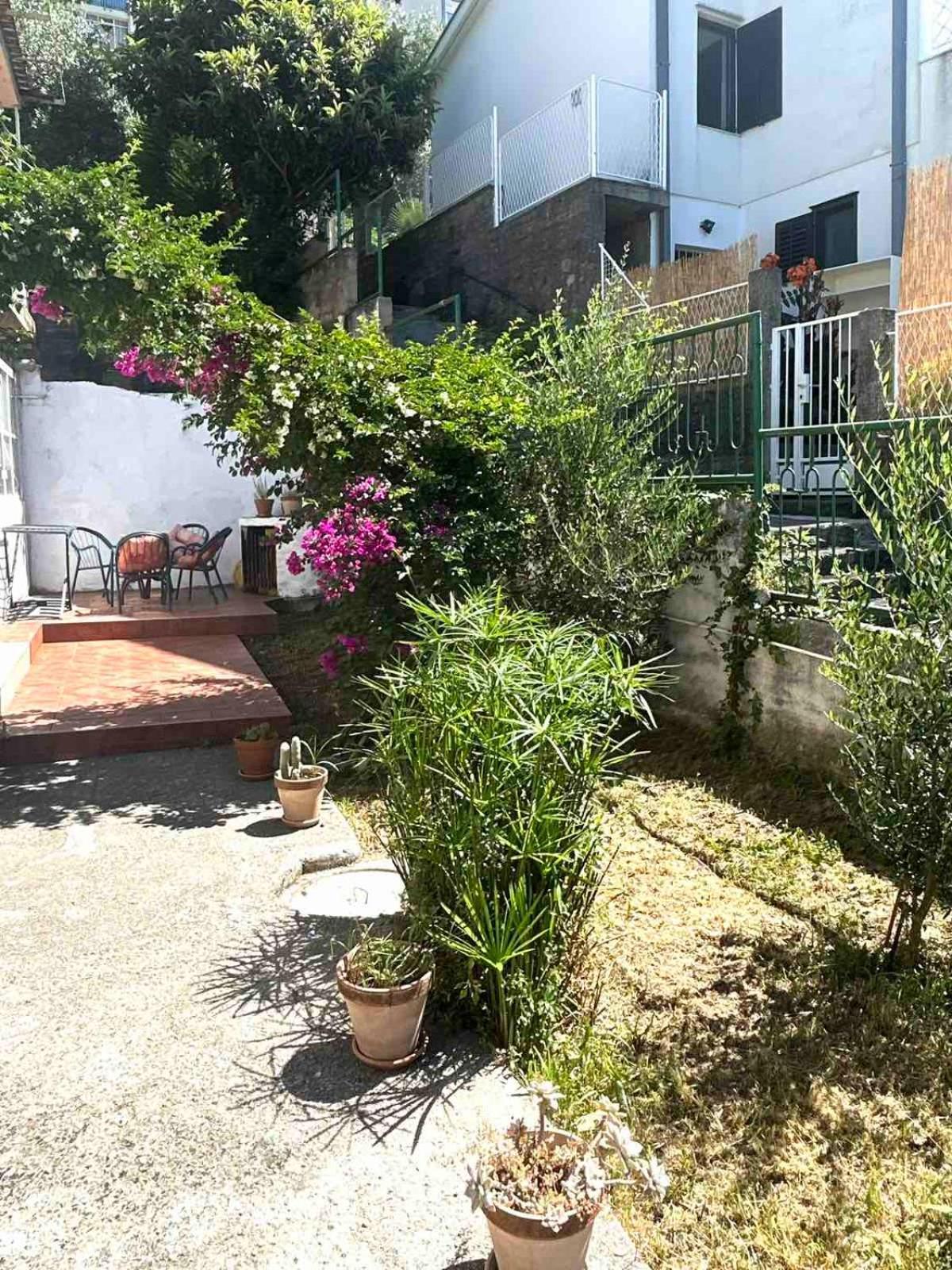 Apartments Maya Herceg Novi Zewnętrze zdjęcie