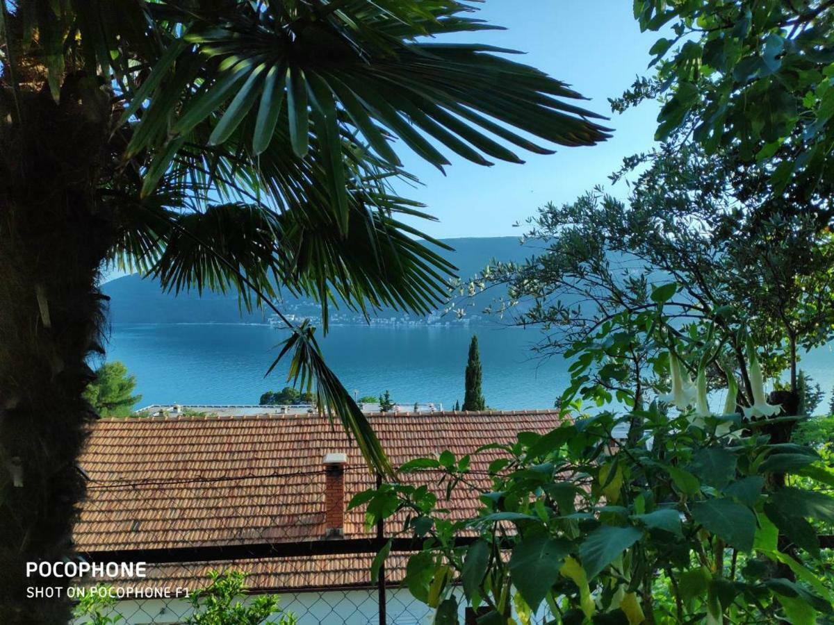 Apartments Maya Herceg Novi Zewnętrze zdjęcie